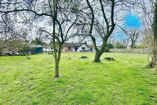 Detached bungalow for sale in Chapel Lane, Potter Heigham, Great Yarmouth