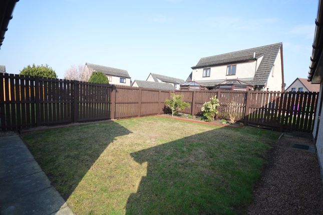 Semi-detached house to rent in Tommy Armour Place, Carnoustie, Angus