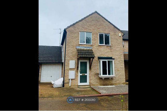 Thumbnail Semi-detached house to rent in Tintagel Court, Peterborough