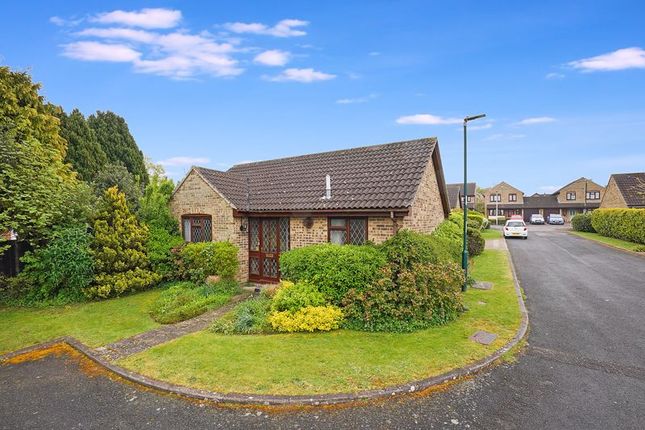 Bungalow to rent in Bumbles Close, Rochester