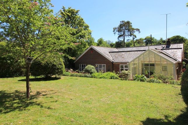 Bungalow for sale in West Meon, Petersfield