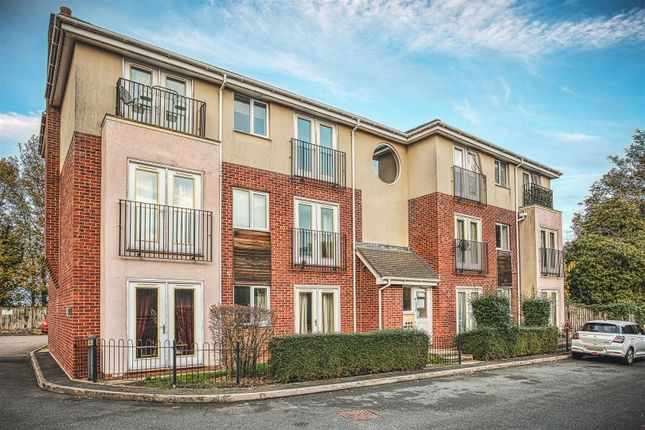 2025-10-23 16.36.56-3_Hdr.Jpg