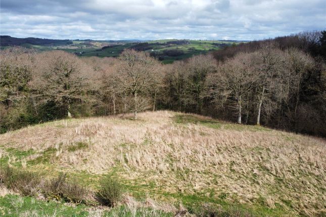 Bungalow for sale in Mochdre, Newtown, Powys