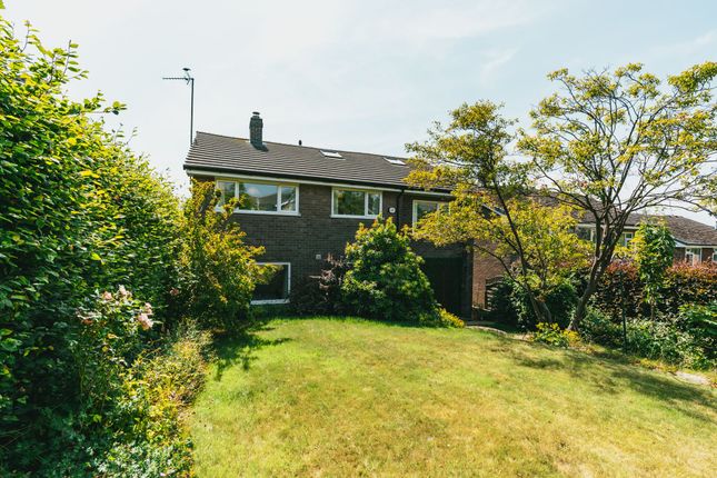 65 Hallamshire Road, Sheffield photo 4
