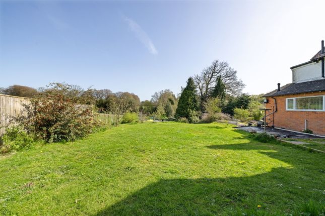 Chestnut View, Old Bramshott Chase, Hindhead photo 2