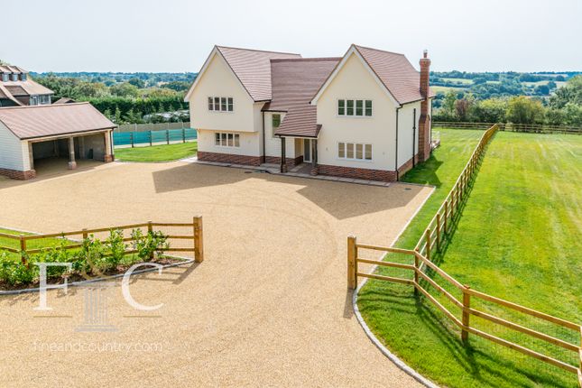 Thumbnail Detached house for sale in Hamlet Hill, Roydon, Essex
