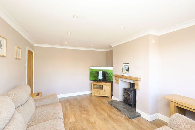 44 Netherfield Road, Chesterfield photo 4