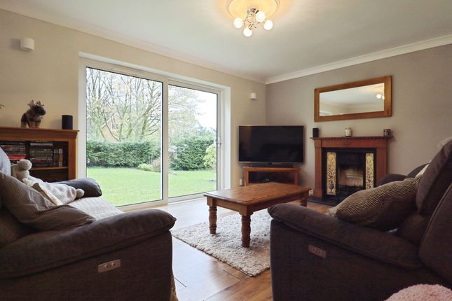 Evergreen, Meadow Lane, Porth photo 4