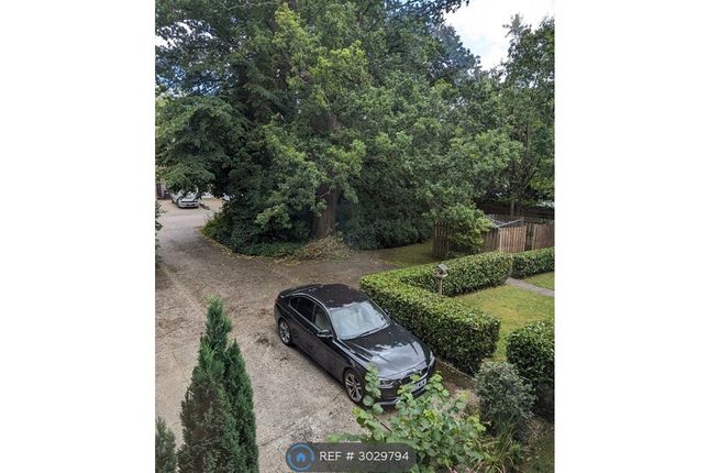 Five Oaks Sandifield, Hatfield photo 2