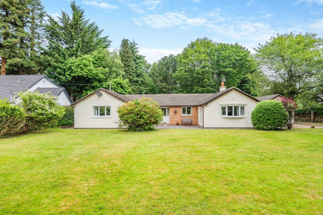 Thumbnail Bungalow for sale in The Narth, Monmouth, Monmouthshire