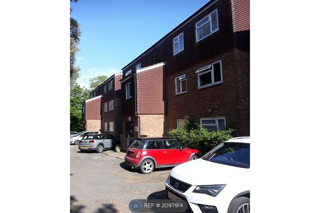 Thumbnail Flat to rent in Pevensey Road, St Leonards On Sea, East Sussex