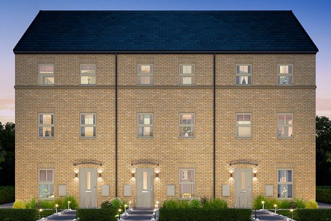 Verve development image 0