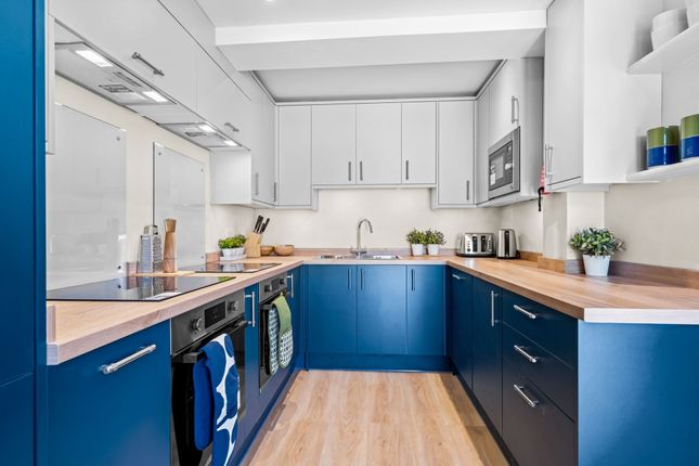 A Modern Kitchen Featuring Sleek Blue Lower Cabine...