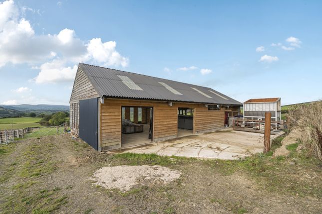 1361387-1-68Dd48A...