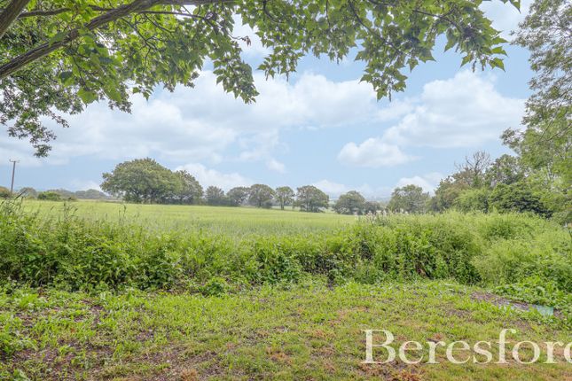 Little Warley Hall Lane, Little Warley CM13, 3 bedroom bungalow for ...