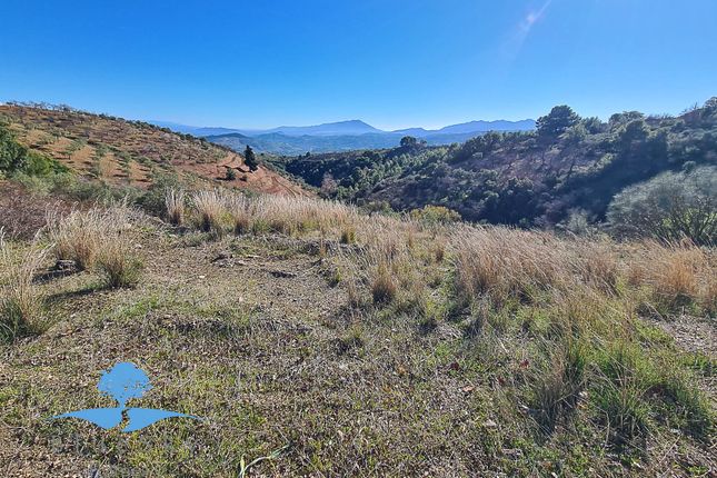 Land for sale in Tolox, Malaga, Spain