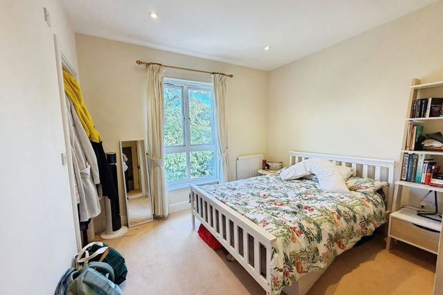 52, Cambridge photo 5