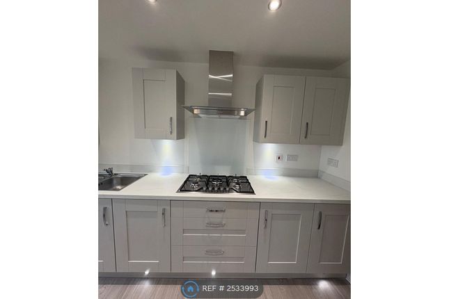 Stainless Steel Cooker