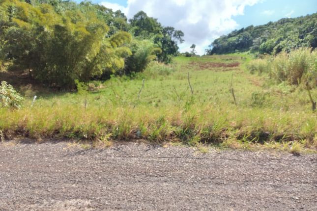 Land for sale in Newark Grove, Spur Tree Hill, Jamaica
