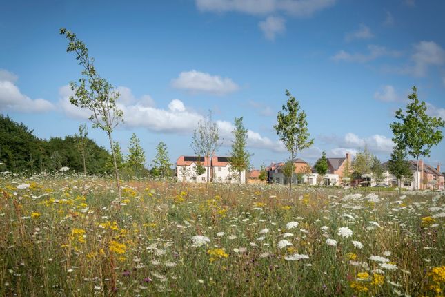 Winterbrook Meadows, Wallingford photo 3