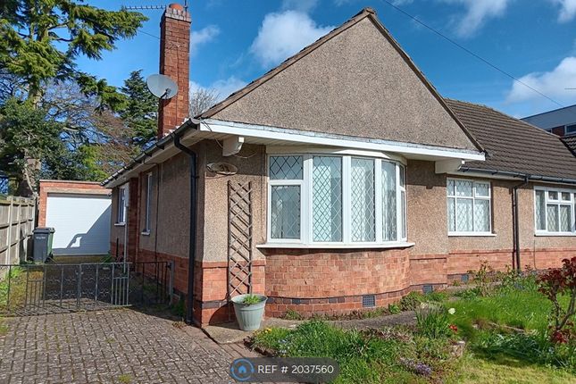 Thumbnail Bungalow to rent in Chestnut Avenue, Leicester