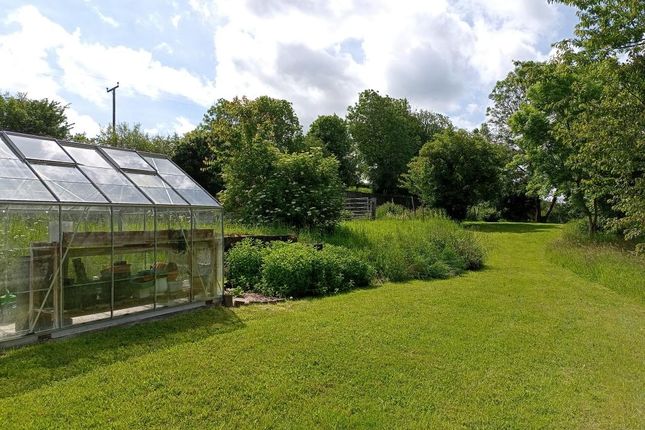 Greenhouse And Lawns