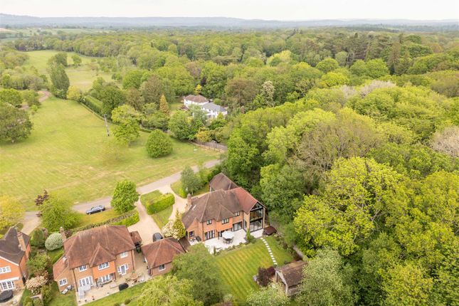1, Becket Wood, Dorking photo 2