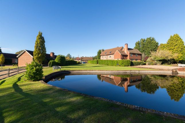 Barnet Farm, Norley Lane - Edited (25).Jpg
