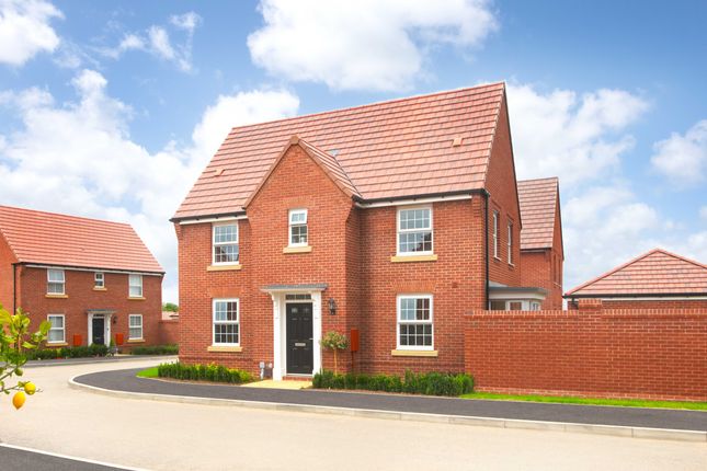 Languardview_Dwh_Hollinwood