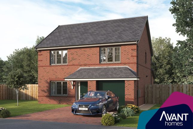 Thumbnail Detached house for sale in "The Oakbrook" at Benridge Bank, West Rainton, Houghton Le Spring
