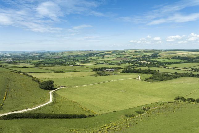 Dji_0775.Jpg