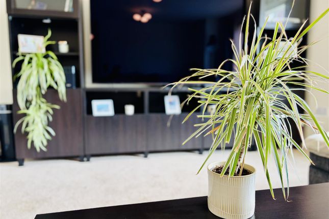 153, Moat Way, Selby photo 4