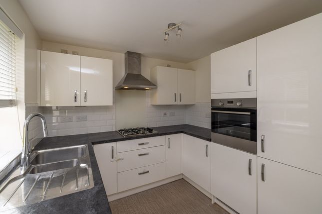 4, Rovers Way, Doncaster photo 3