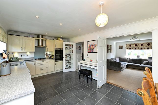 6, Nolan Court, King's Lynn photo 4