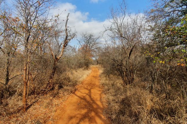 Farm for sale in 1 Selati Ranch, 1 Harmony, Harmony Block, Hoedspruit, Limpopo Province, South Africa