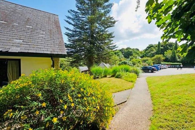 Detached house for sale in Bissoe Road, Carnon Downs, Truro