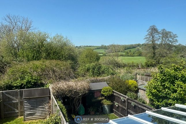 Willhayes Park, Axminster photo 3