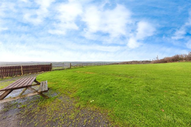 Pant-Ysgyfarnog,, Llangynog, Carmarthenshire photo 3