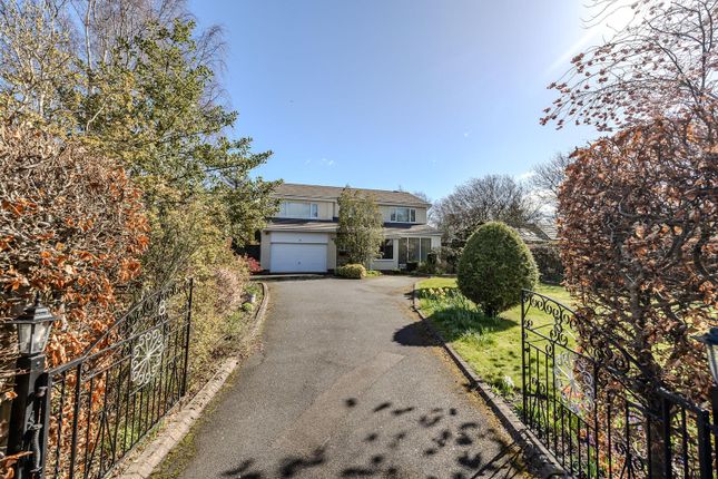 Avondale Road, Ponteland photo 2