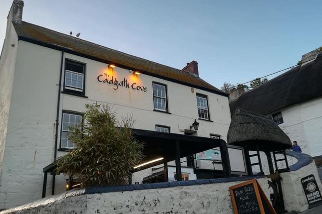 Pub/bar to let in Cadgwith Cove, Cadgwith, Ruan Minor, Helston, Cornwall