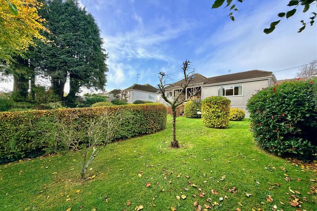 8, Shute Park Road, Plymouth photo 3
