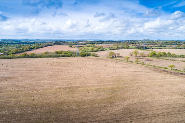 Land for sale in Grange, Wimborne, Dorset