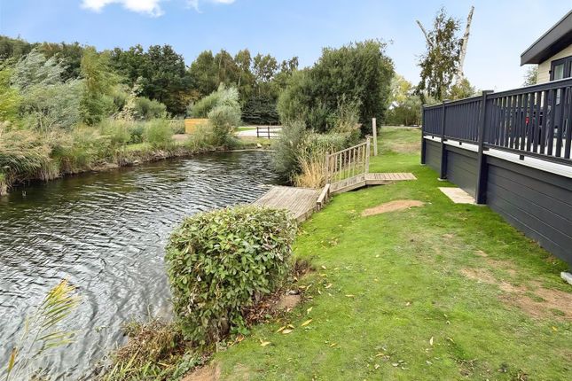 Regal Harlington, 7 Lakes Country Park, Scunthorpe photo 2