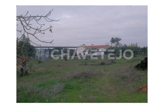 Land for sale in Vila Nova, Paialvo, Tomar