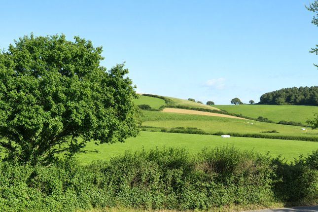 NHEF1 - Discreet Listing, Plot 23, Plumb Park Avenue, Devon photo 3