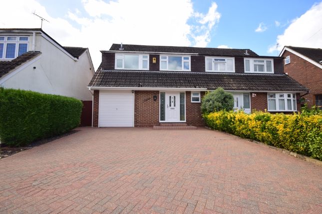 Thumbnail Semi-detached house to rent in Parsonage Field, Doddinghurst, Brentwood