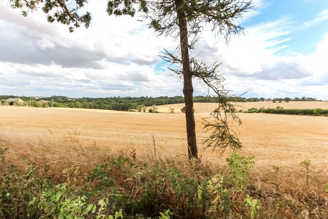 14b, Hilltop Road, Wellingborough photo 3