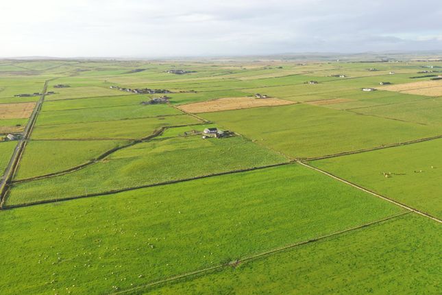 Land for sale in Land At Westburn Farm, Murkle, Thurso, Caithness