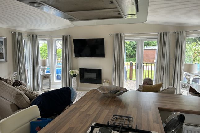 Devon Hills Gary Moore £89K Homeseeker Olympia, Totnes Road, Paignton, Devon photo 5