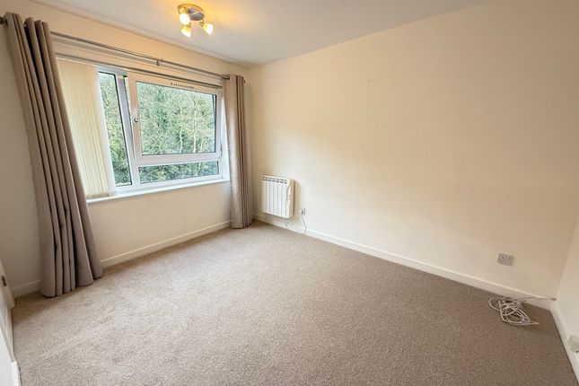 54, Northampton photo 3